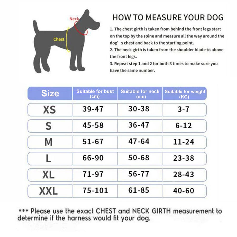 Personalisiertes No-Pull Hundegeschirr