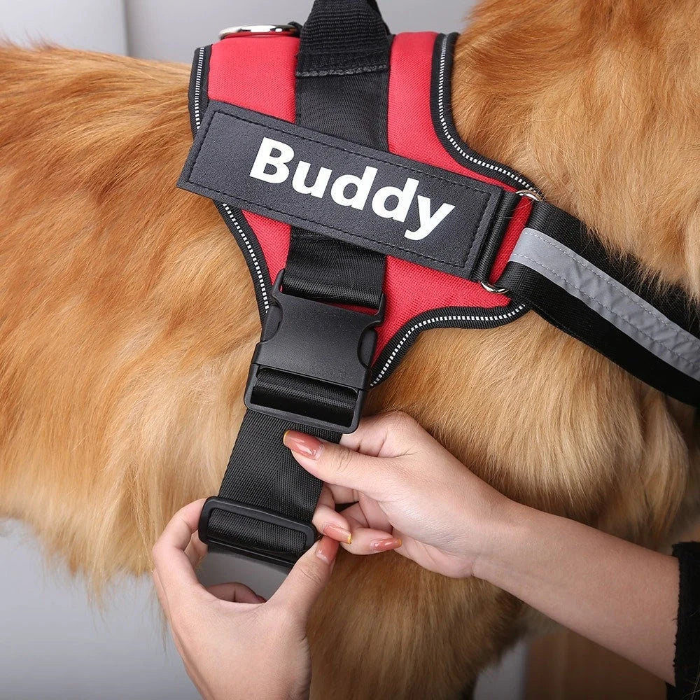 Personalisiertes No-Pull Hundegeschirr